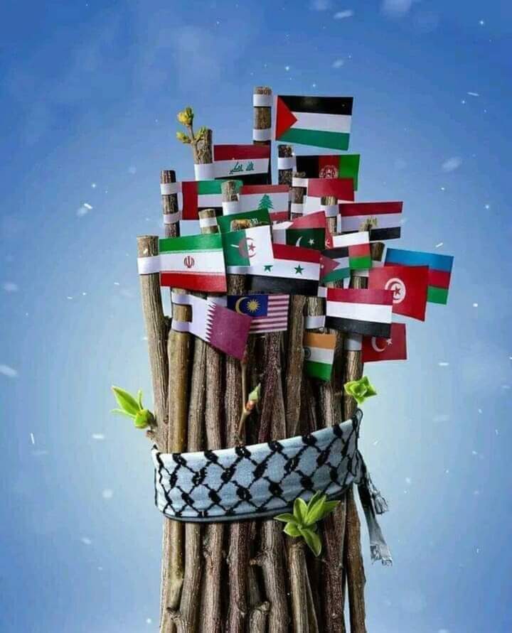 كلنا اخوه