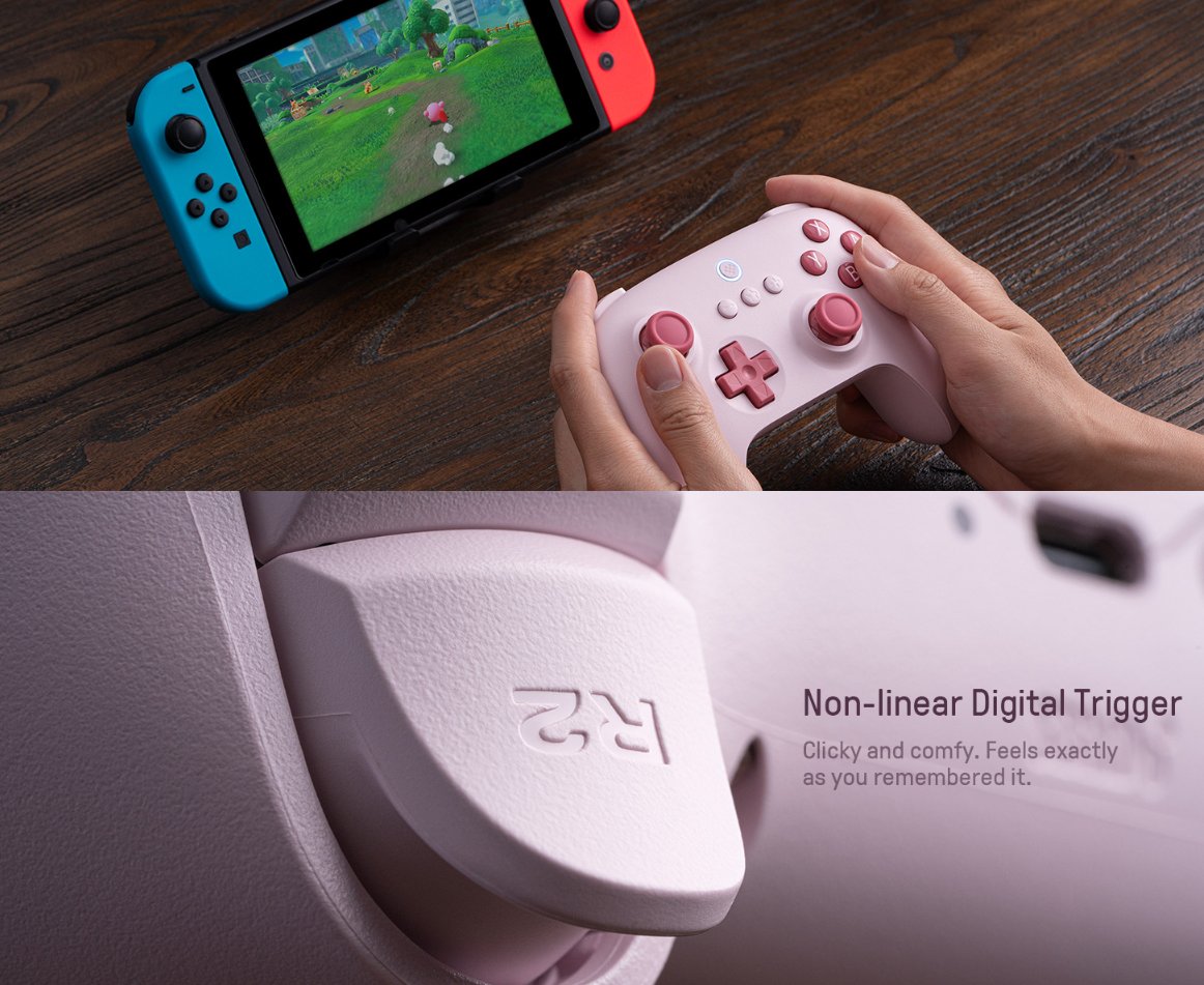  8Bitdo Ultimate C Bluetooth Controller for Switch with 6-axis  Motion Control and Rumble Vibration (Pink) : Video Games