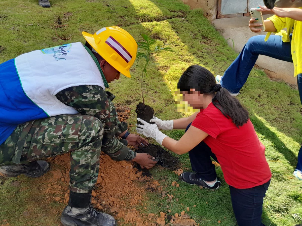 Ingenieros_EJC's tweet photo. Entre Gualanday  Cedro y Guayacán fueron más de 200 plántulas sembradas por soldados del Batallón Caldas #BRIAD y comunidad de Floridablanca #Santander, fortaleciendo el ecosistema y fomentando la preservación de los recursos naturales.
#CustodiosDelMedioAmbiente https://t.co/zAVvVJMWsU