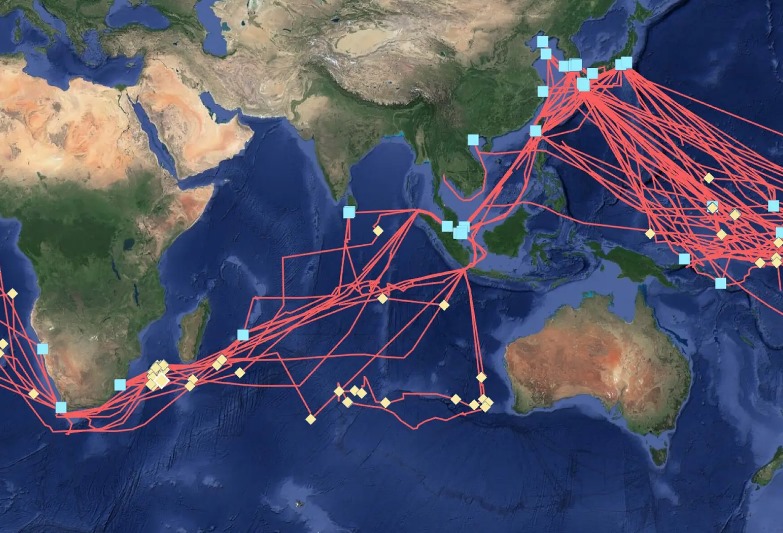 Global Fishing Watch tweet media