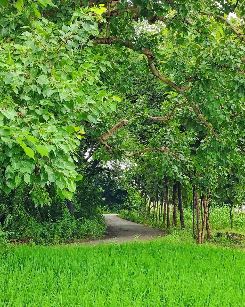 The best times are always on the road.