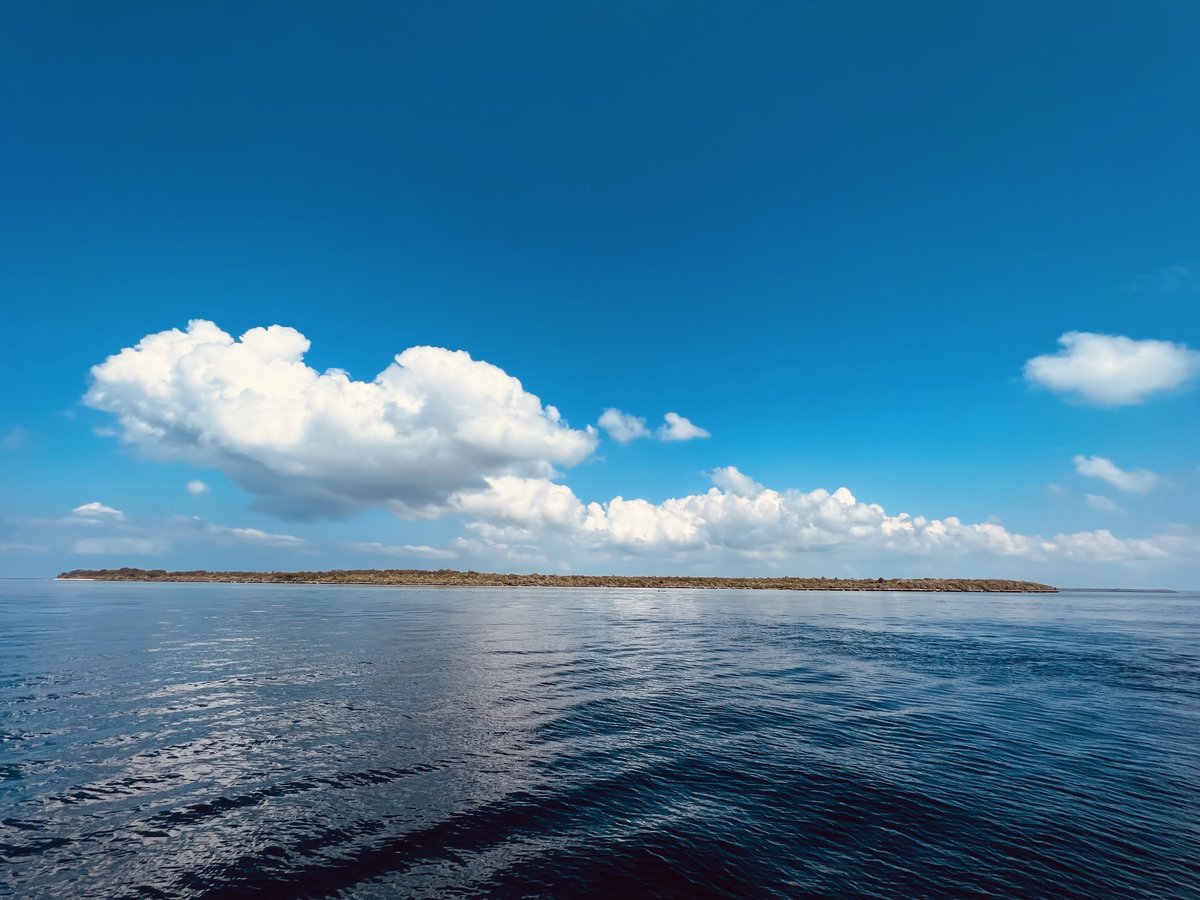 SoniaJRowley's tweet photo. Rebreathers in the Wakatobi and on Hoga, could be a first πͺΈπ€πππͺΈ Goodbye Wanci Island.... On the way to Karang Gurita (epic deep dive to 140 m) ... Goodbye Aircon & showers and looking forward to beach huts, mandis and the peace of Hoga Island tonight.. #makingthemostoflife https://t.co/480P4bAj89