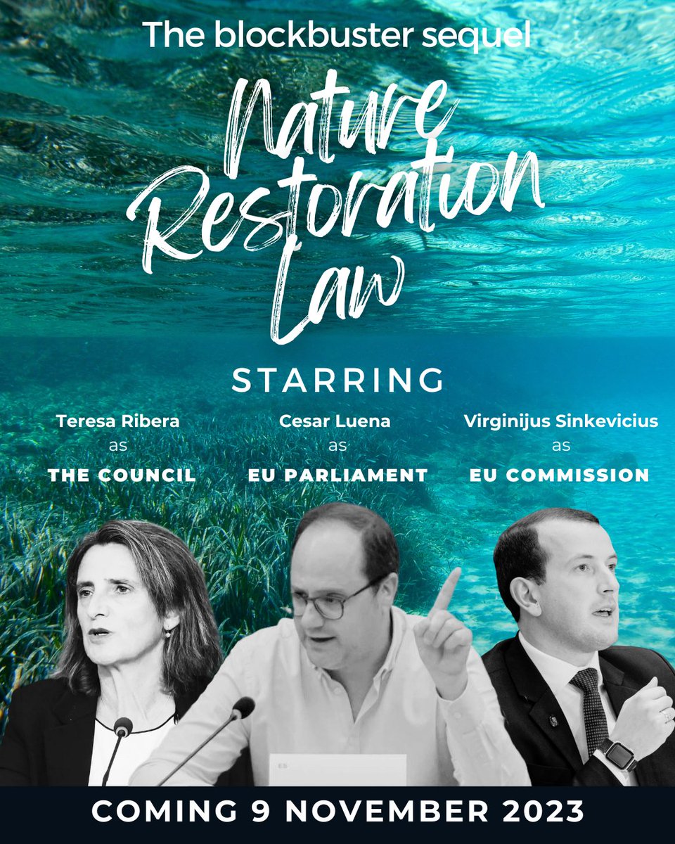 RecFishingEP tweet media