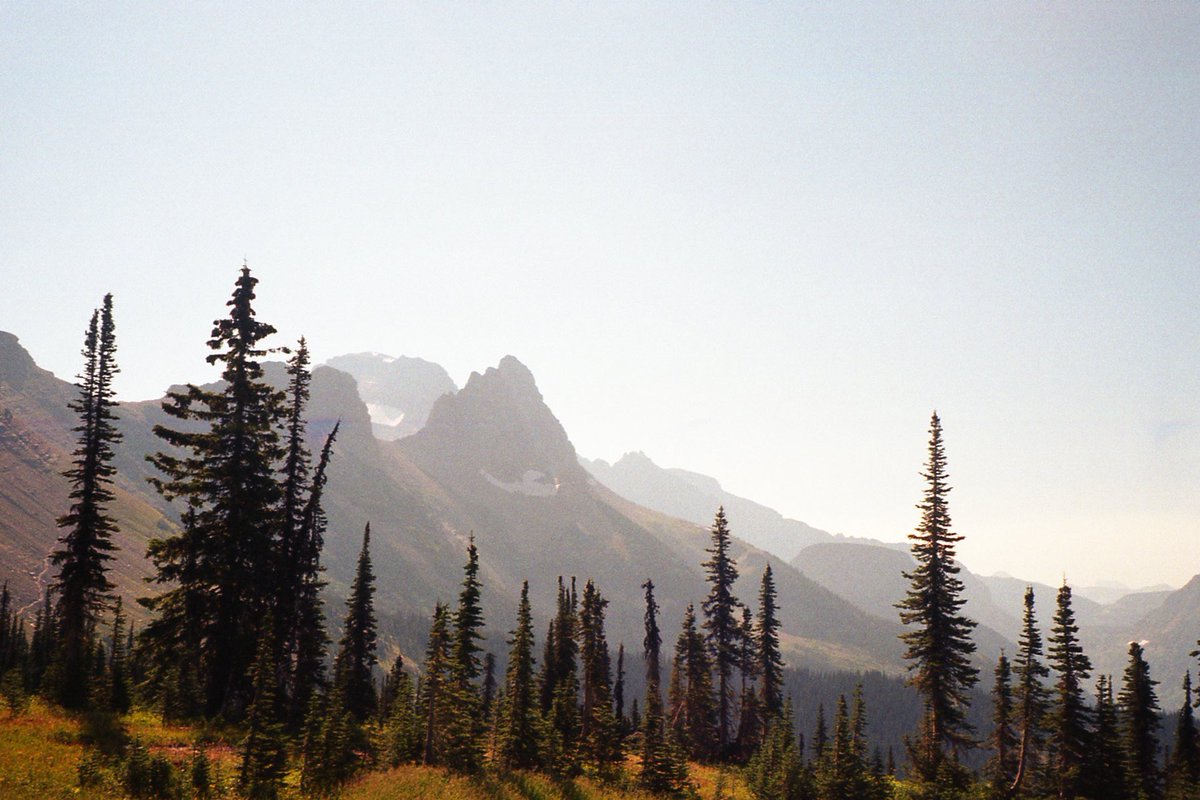 35mmfilmslides tweet media