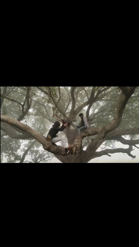 Ten miles after the spring breeze, all the wheat is green