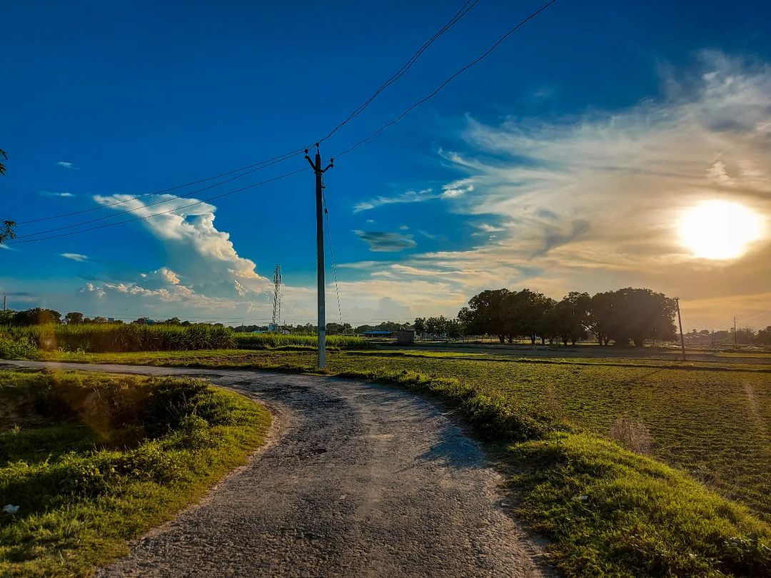 Your smile is so beautiful, like a spring flower...