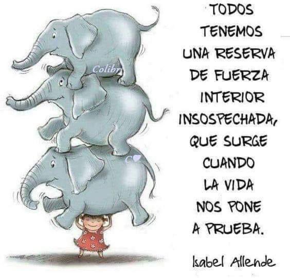 Charofernandezr's tweet photo. Buenos días!! https://t.co/R7RQyNKmNU