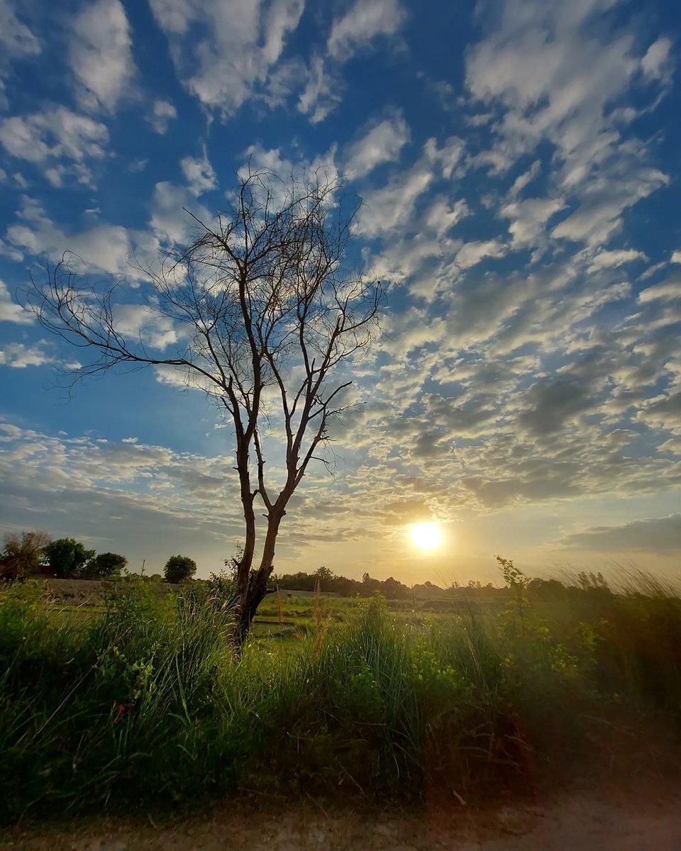 When you come to this world, you must make an effort to see more scenery.