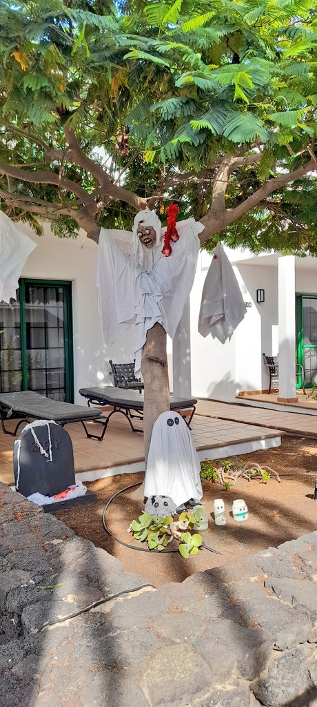 Veronique Frey tweet media