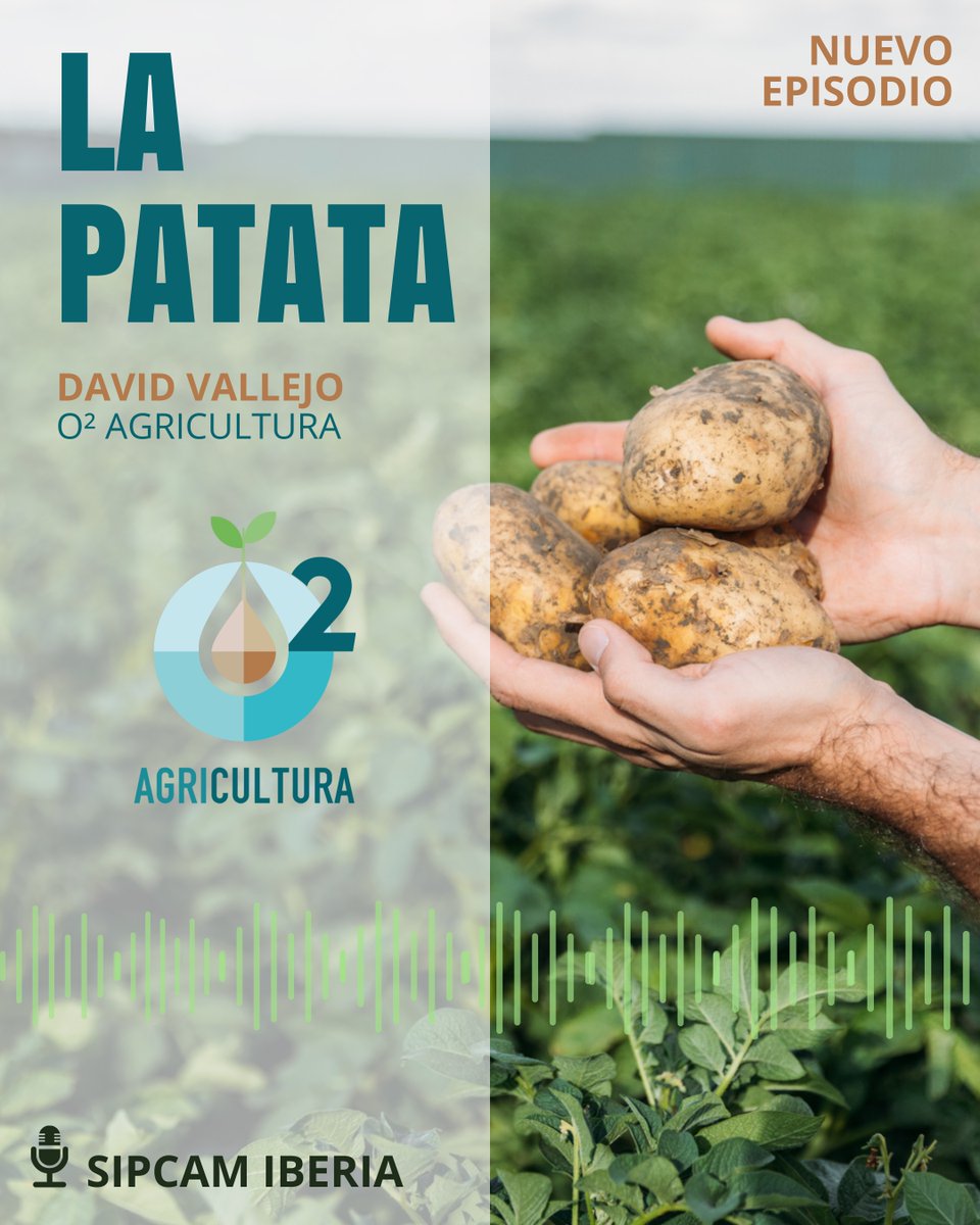 🎙️ No te puedes perder la entrevista de nuestro compañero David Vallejo en el último podcast de Sipcam iberia.

🥔Podrás escuchar su análisis sobre la última campaña y evolución del sector de nuestro especialista.
🔗 open.spotify.com/episode/0z7XVE…