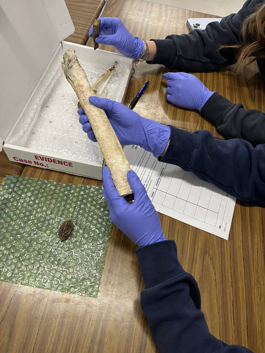 Grade 12 Law students experiencing forensics first hand. Did they crack the case -animal or human? Take Law and give it a try. #assumptionlaw <a href="/ClarkMcdougall/">Principal Assumption CSS</a> <a href="/MrInglis10/">Mr. Inglis</a>