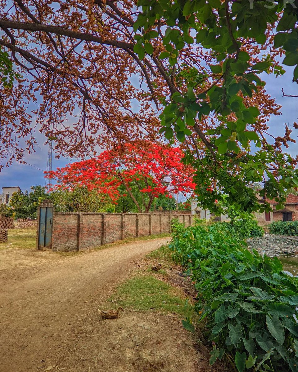 Accompany you through the four seasons and see the most beautiful scenery