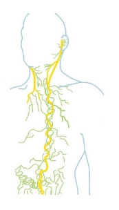 Neurofeedback Luxembourg tweet media