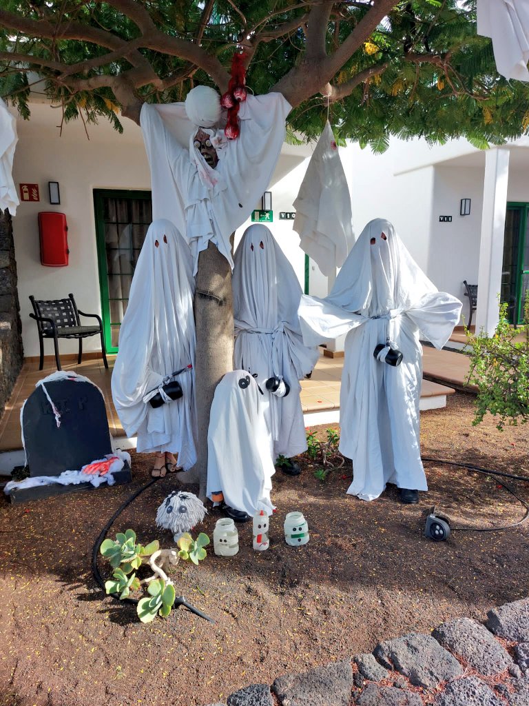 Veronique Frey tweet media