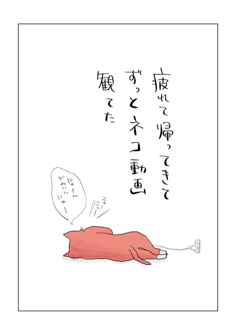 寝る前のどうでもいい報告