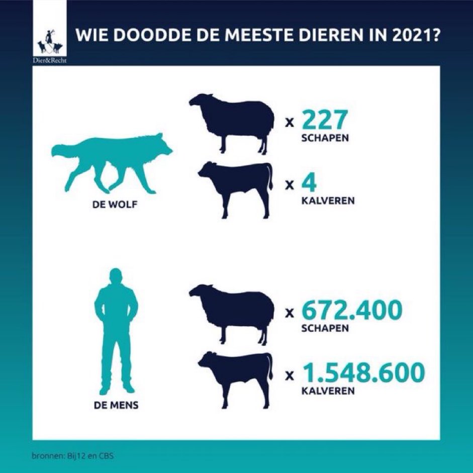 fb_provGLD's tweet photo. De mens is de wolf de baas, als het om schapen doden gaat 🐑 https://t.co/kkd5hmLBRH