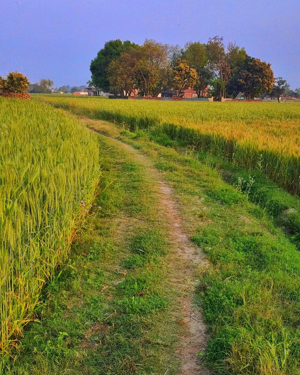 Go your own way and see your own scenery