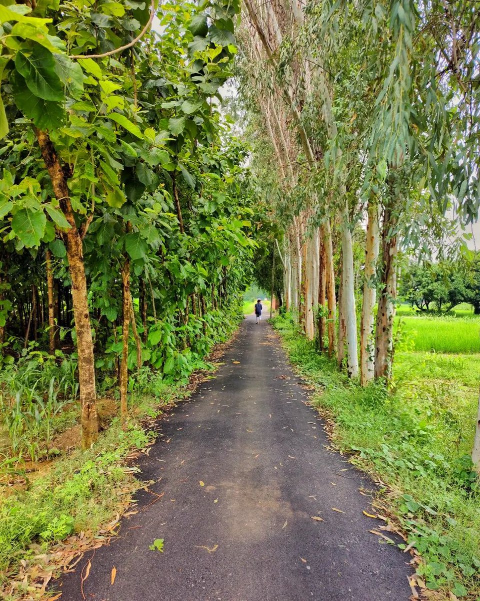 If you don’t want to grow old together, why suffer and not let go?