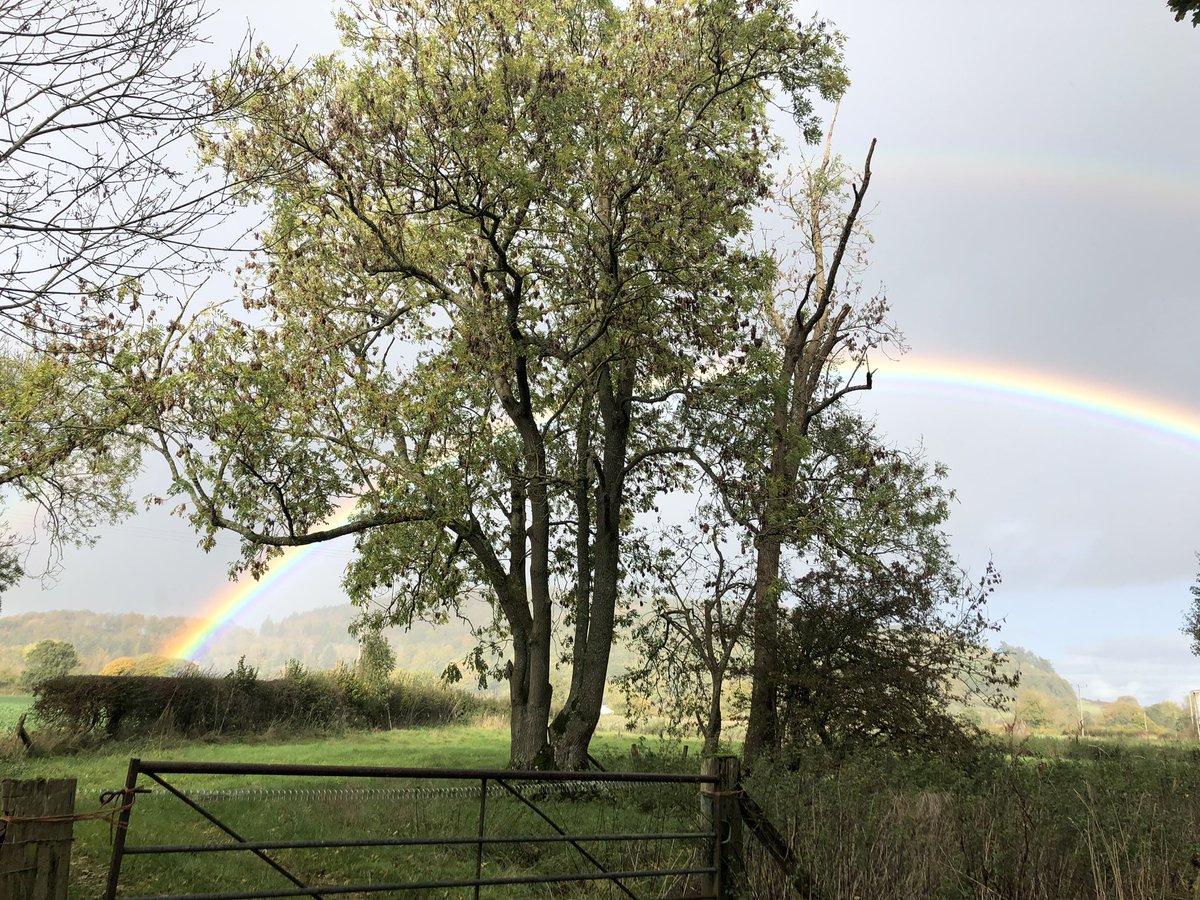 @AardvarkBooksCafe (@aardvarkbkscafe) on Twitter photo We are very lucky to be in Brampton Bryan -especially when the sun is shining, the trees are turning and itās autumn - Bookshop and Cafe open Tuesday - Sunday 10am-4pm, (closed Mondays) - come and visit!
<a href="/HerefordHourbiz/">#HerefordHourš</a> #Herefordhour We are very lucky to be in Brampton Bryan -especially when the sun is shining, the trees are turning and itās autumn - Bookshop and Cafe open Tuesday - Sunday 10am-4pm, (closed Mondays) - come and visit!
<a href="/HerefordHourbiz/">#HerefordHourš</a> #Herefordhour