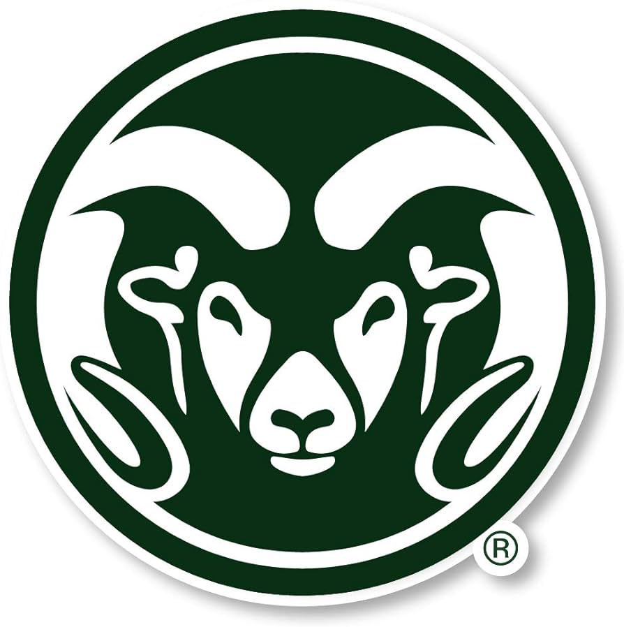 RailynAdams2's tweet image. Blessed To receive an offer from @CSUFootball 🙏🏽AGTG !
