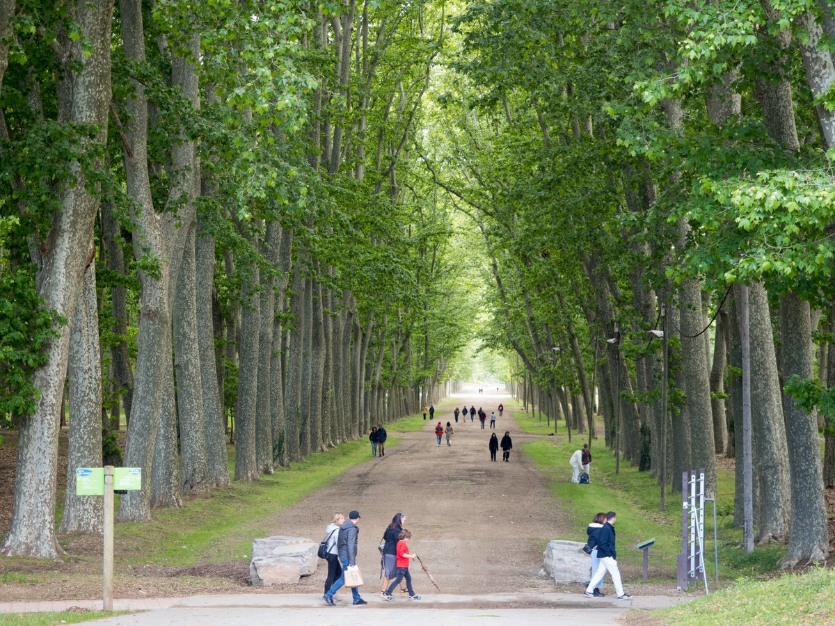 🔷#UdGActualitat | El projecte #GiroNat activa una enquesta sobre els usos de la ciutadania de la infraestructura verda i blava de la ciutat de Girona. 

L'enquesta ja està oberta i tothom hi pot participar.
udg.edu/ca/udg/detall-…