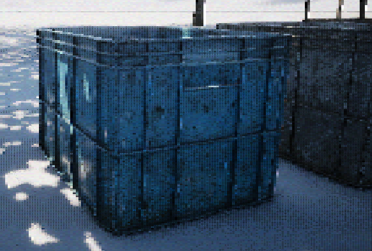 PouchyBoi's tweet image. Shader Refinements!
#indiedev #gamedev #gamedevelopement #indiegame #IndieGameDev