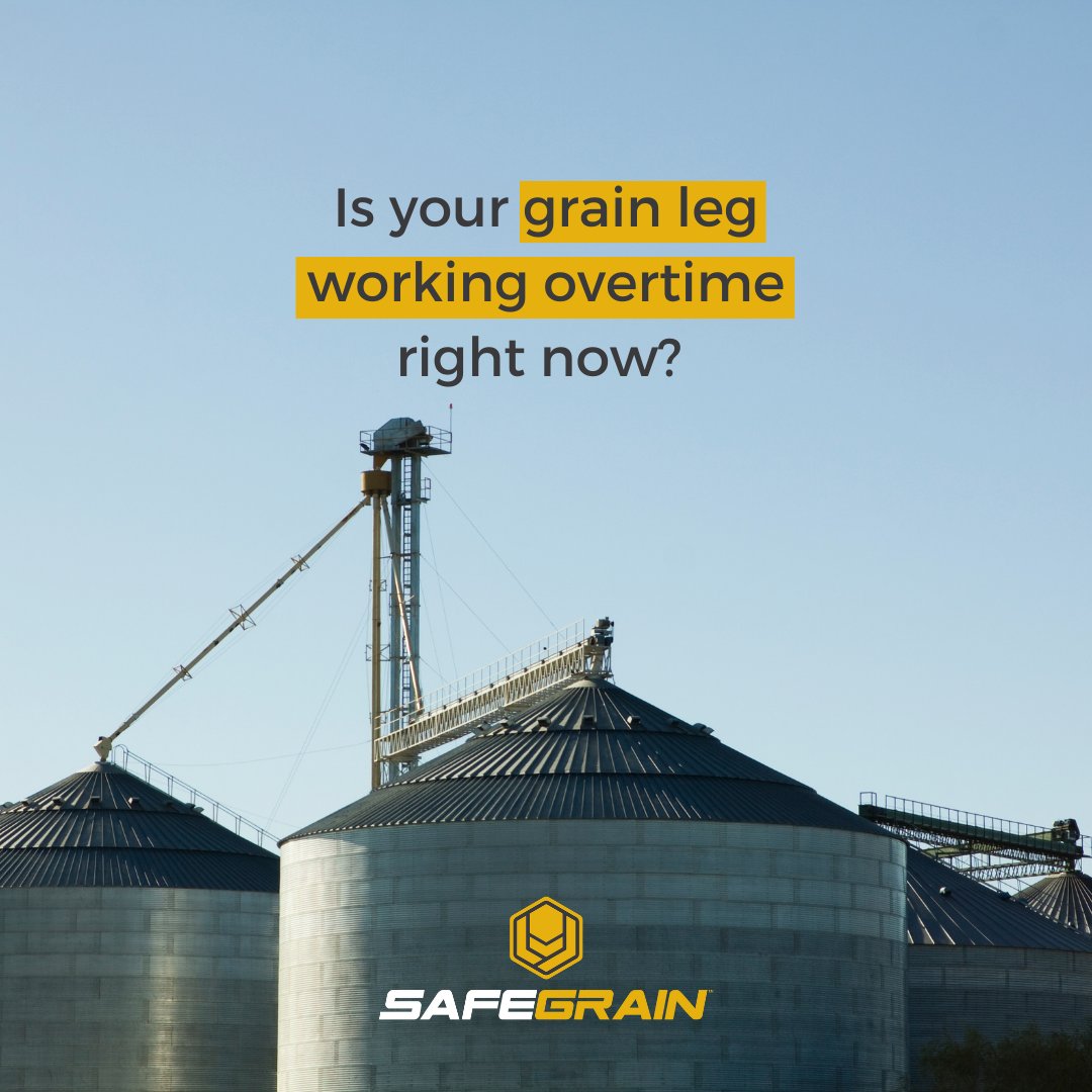 SafeGrain's tweet image. Don't let your biggest players go down during game time. 

Keep an eye on everything and catch issues before it's too late with SafeGrain motion, bearing and alignment sensors and hazard monitoring systems. 

mtr.cool/odkyaicnrh

#GrainStorage #GrainHandling #HazardMonitoring