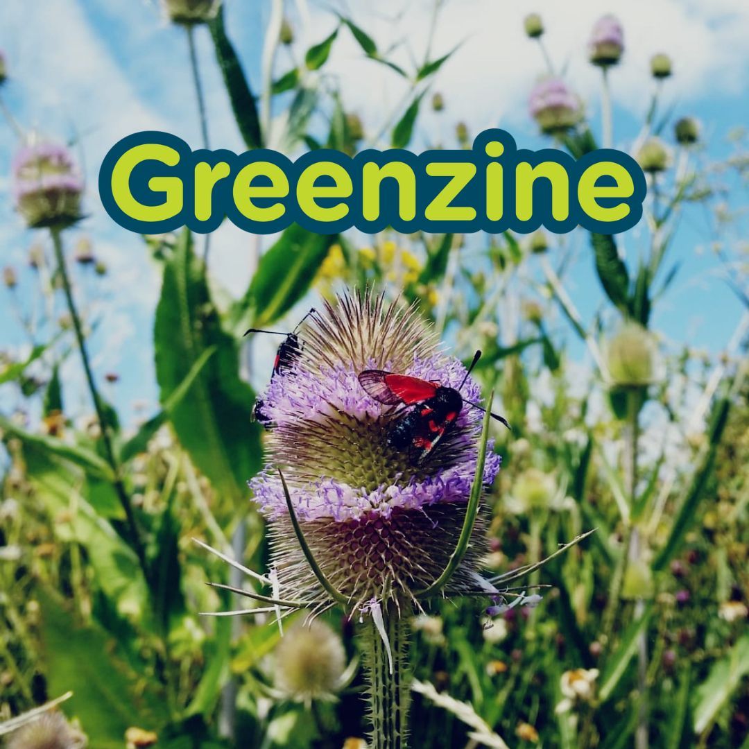 The Conservation Volunteers (TCV) tweet media