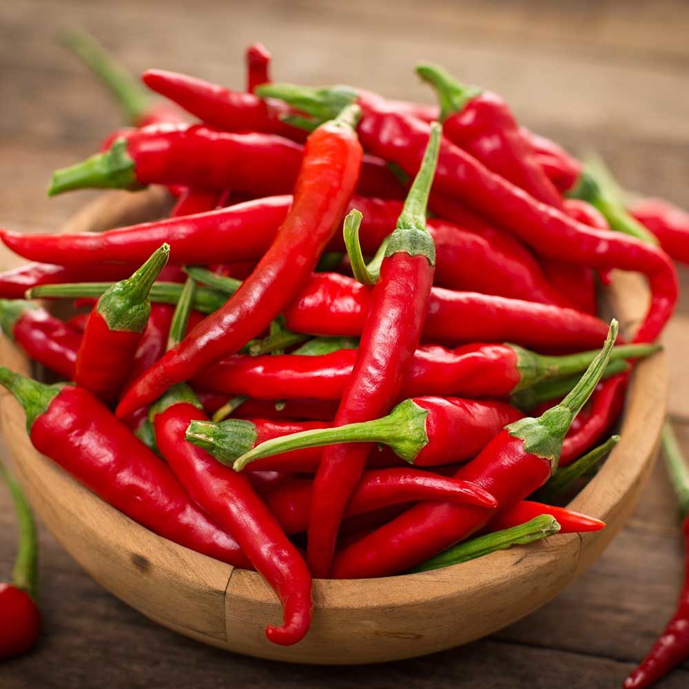 hortifreshffv's tweet photo. #ChilliTalk 4
Common Pests and Diseases
🌶️Cutworms🌶️
Affected Plant Stages: Seedling stage
Affected plant parts: Leaves and young stems.
Symptoms:
Cutworms are dull grey, brown or black, and may be striped or
spotted, up to 50 mm in length, soft bodied and smooth.
1/2 https://t.co/4B14CDGZEg