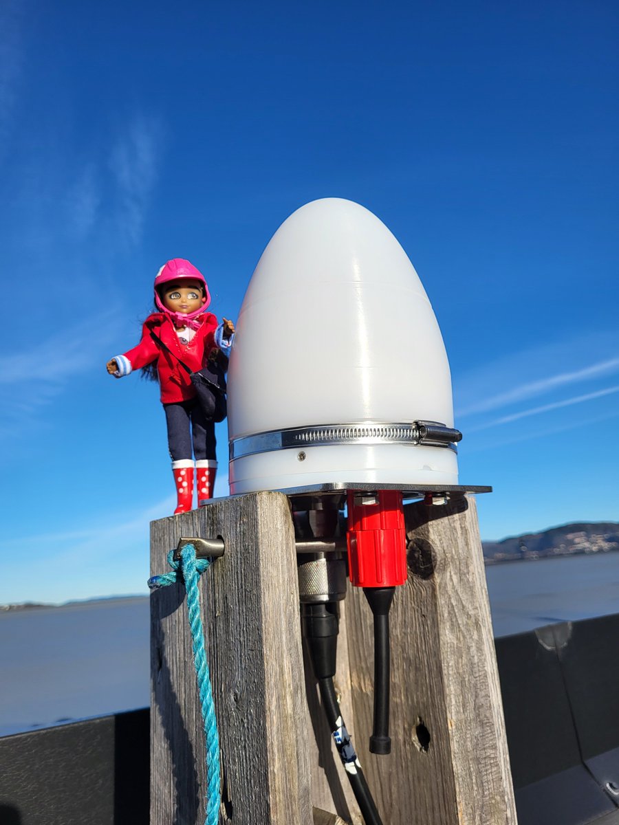 This #TEWeek23 we’re partnering with @WES1919 to inspire the next generation of engineers! Our Lottie is in Norway, visiting our Trondheim workshop where we build our SEAWATCH® Wind Lidar Buoys and testing positioning pods in Bergen. 
#Engineering #WESLottieTour