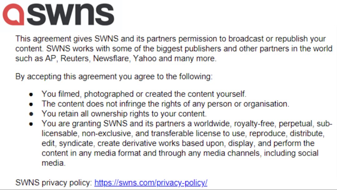 Elizabeth Hunter tweet media