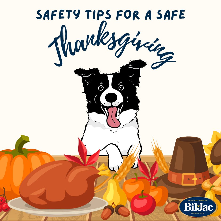 Curious about what your furry friend can gobble up this Thanksgiving? Find out what's on (and off) the table this holiday season. bit.ly/3H6zkHO