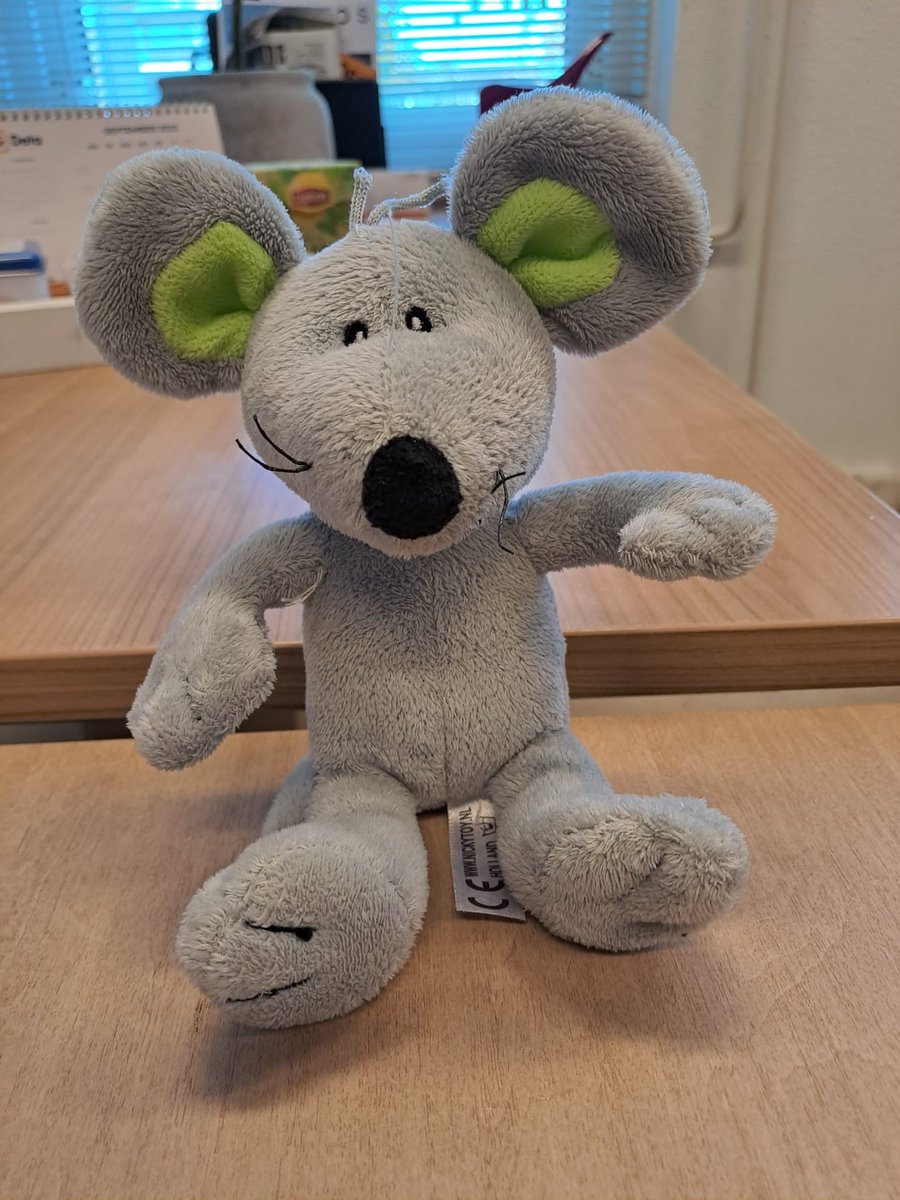 Sinds donderdag 2 november zit dit ontroostbare muisje in de hal van het gemeentehuis. We zorgen natuurlijk goed voor muis, maar muis mist zijn beste vriendje heel erg en slaapt het allerliefst thuis. Ken of ben jij het beste vriendje van muis? >📞0348-559955.