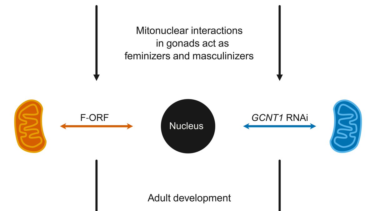 Chase Smith tweet media