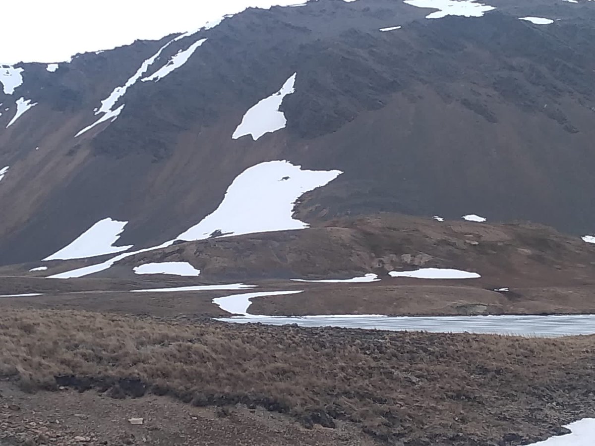 GovSGSSI's tweet photo. Very interesting snow patch spotted on Brown Mountain! 🐧

#SGLife #SGSSI https://t.co/3HvX0oNwnt