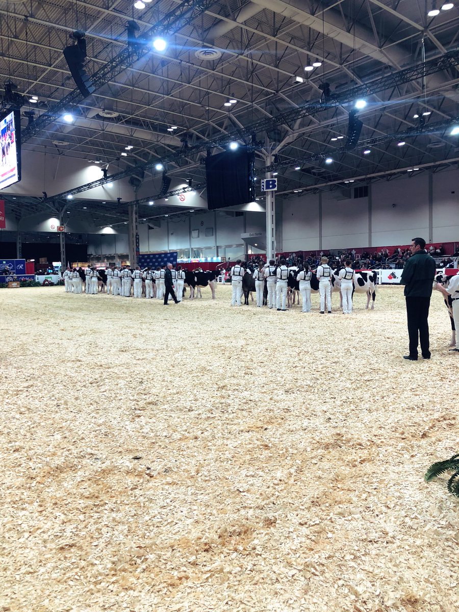 Junior Showmanship is well underway at the <a href="/TD4HClassic/">TD Classic</a> and there are so many talented young people!