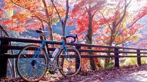 team_cbc's tweet photo. We “fell” back into early fall weather. Get out and ride!

Tuesday – Apex Nature Park &amp; Vicious Fishes
Wednesday – Raleigh Brewing
Thursday – Apex Nature Park &amp; Vicious Fishes
Saturday – Apex Nature Park
Sunday – Carolina Brewing

See details at https://t.co/rm8UuCfzHz https://t.co/k7dElzY34g