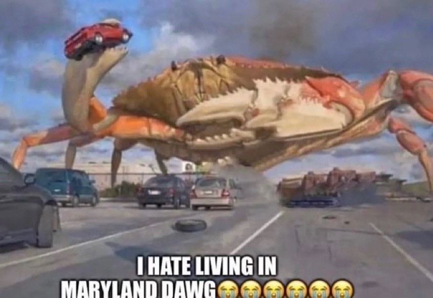 ShitpostGateway (@shitpostgate) on Twitter photo 