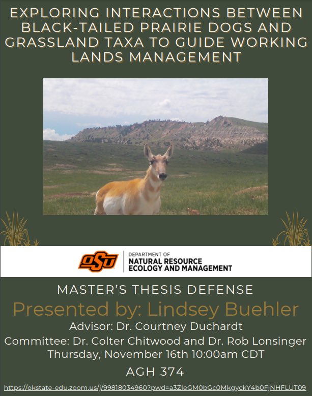 Birthday thesis defense! 🥳 Please join us for a presentation by Lindsey Buehler on "Exploring Interactions Between Black-Tailed Prairie Dogs and Grassland Taxa to Guide Working Lands Management" on Thursday, November 16th at 10:00 AM in Ag Hall 374 or on Zoom (link in flyer).
