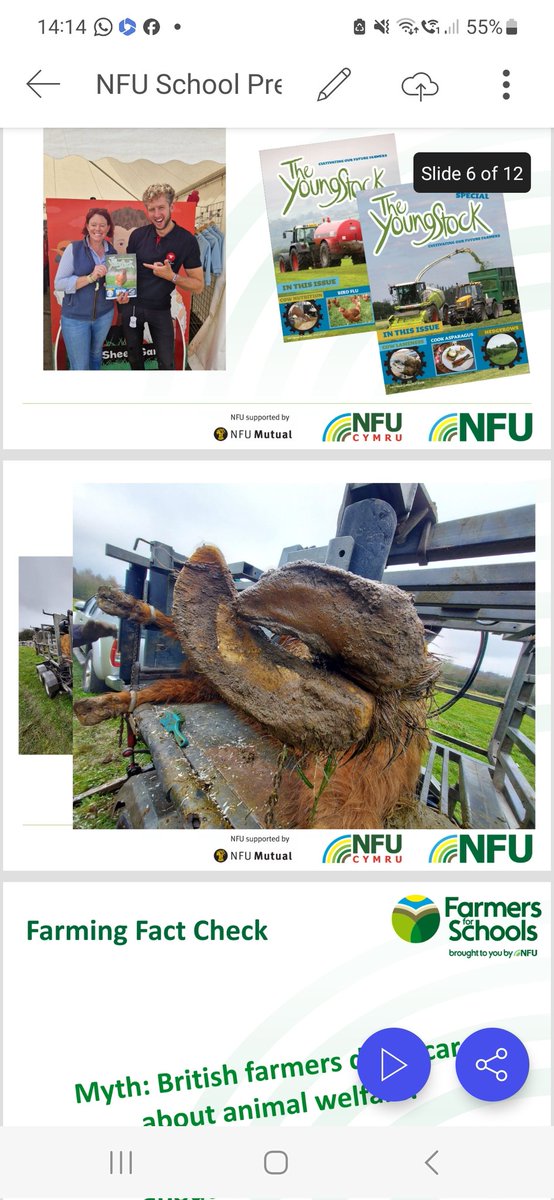 Emmlous82 tweet media