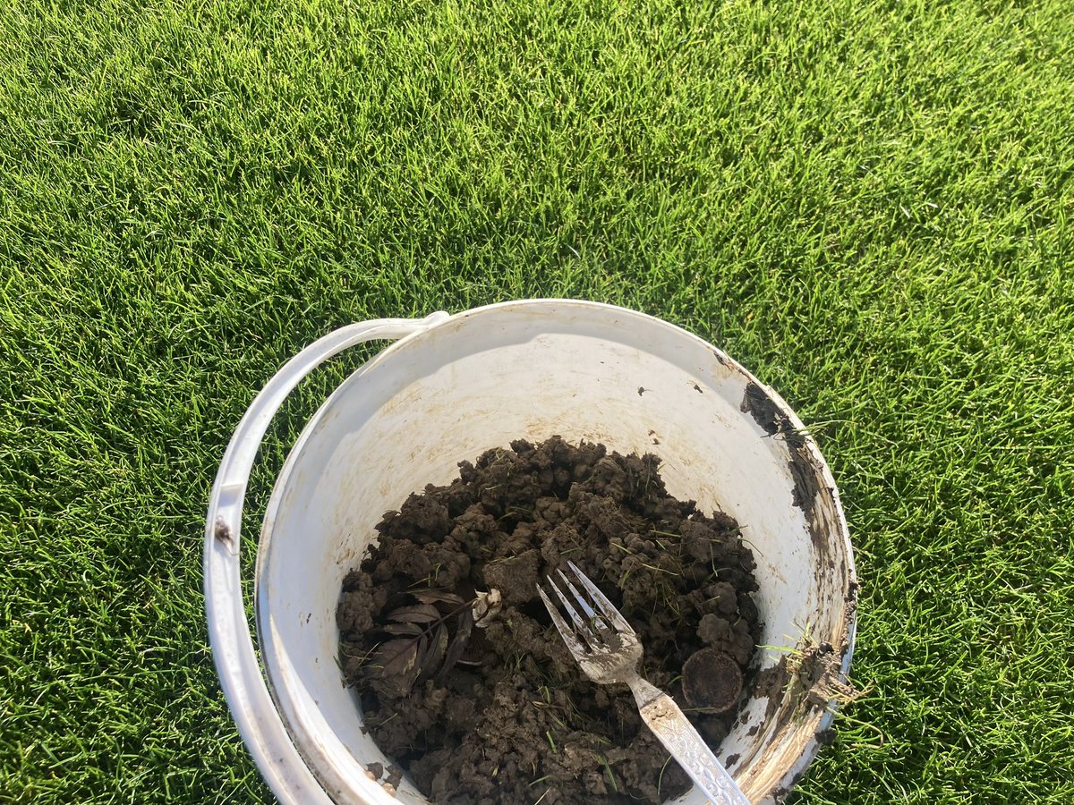 Jamie Foyster tweet media