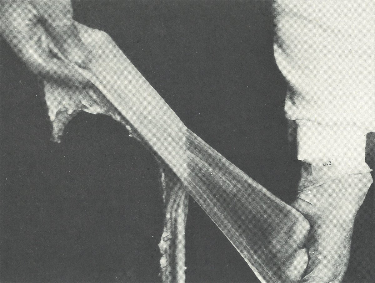 Art in Translation - Journal tweet media