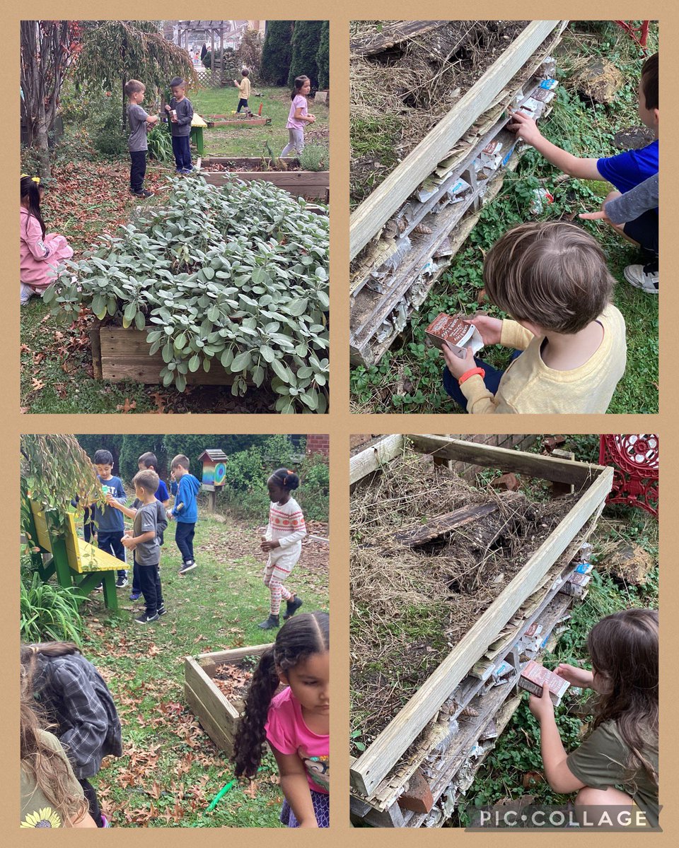 Lisa Richards (@leeweerichards) on Twitter photo First Grade works on building their insect house as we explore the survival traits of animals as they prepare for the colder temperatures.
<a href="/Hampton_Street/">Hampton Street</a> #mineolaproud #steamchallenge First Grade works on building their insect house as we explore the survival traits of animals as they prepare for the colder temperatures.
<a href="/Hampton_Street/">Hampton Street</a> #mineolaproud #steamchallenge
