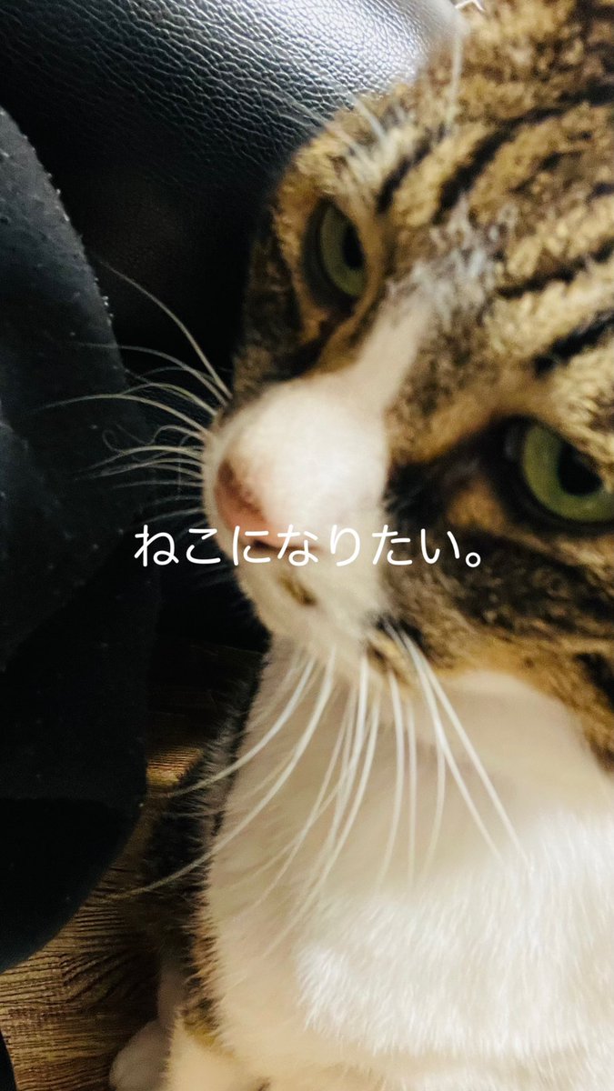 ws3561's tweet photo. https://t.co/Q1CqgnbBIm