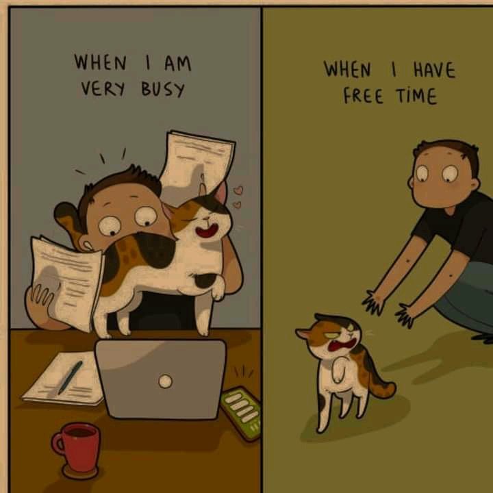 😓😊