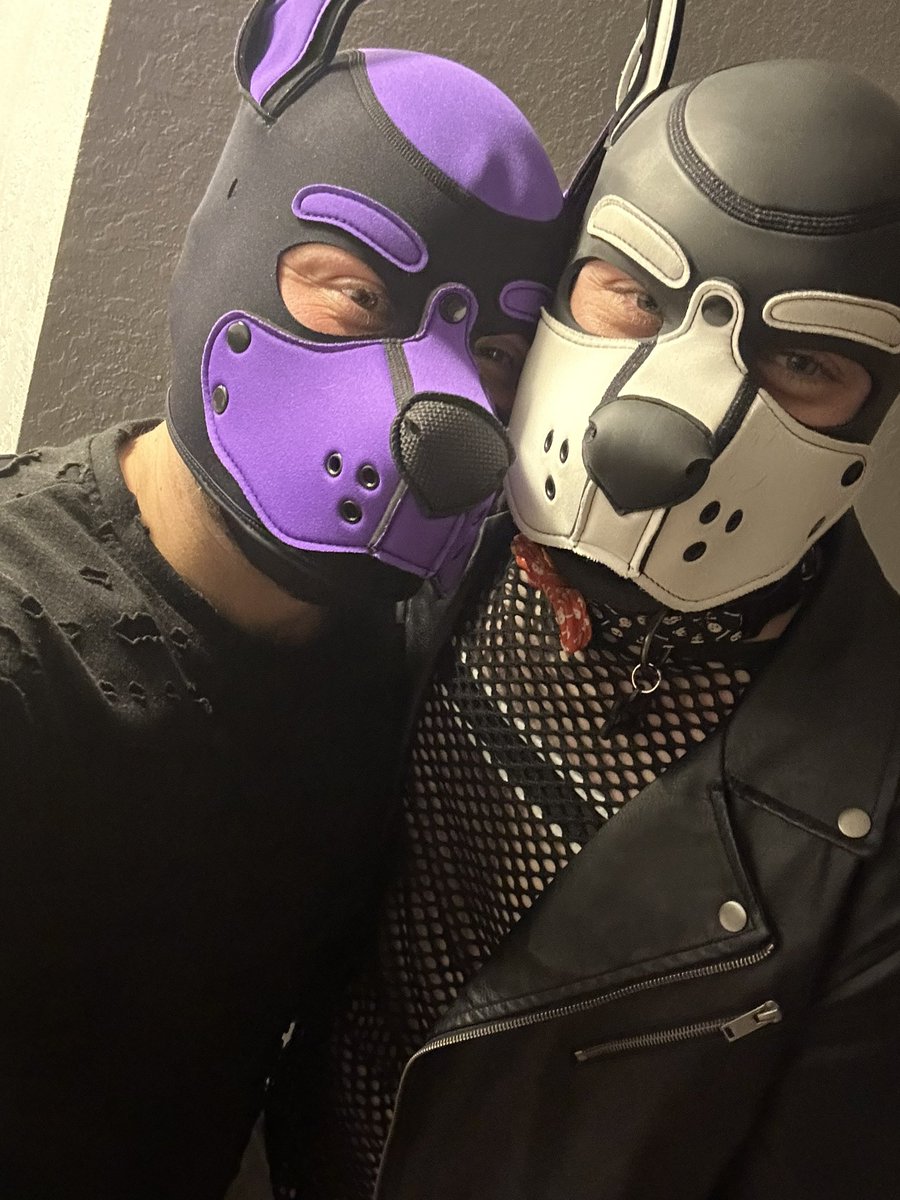 cbrau45's tweet photo. Just an alpha with his beta @PupBarton
#pupplay #pupplaycommunity #DakPak https://t.co/WDDrjKb6Ds