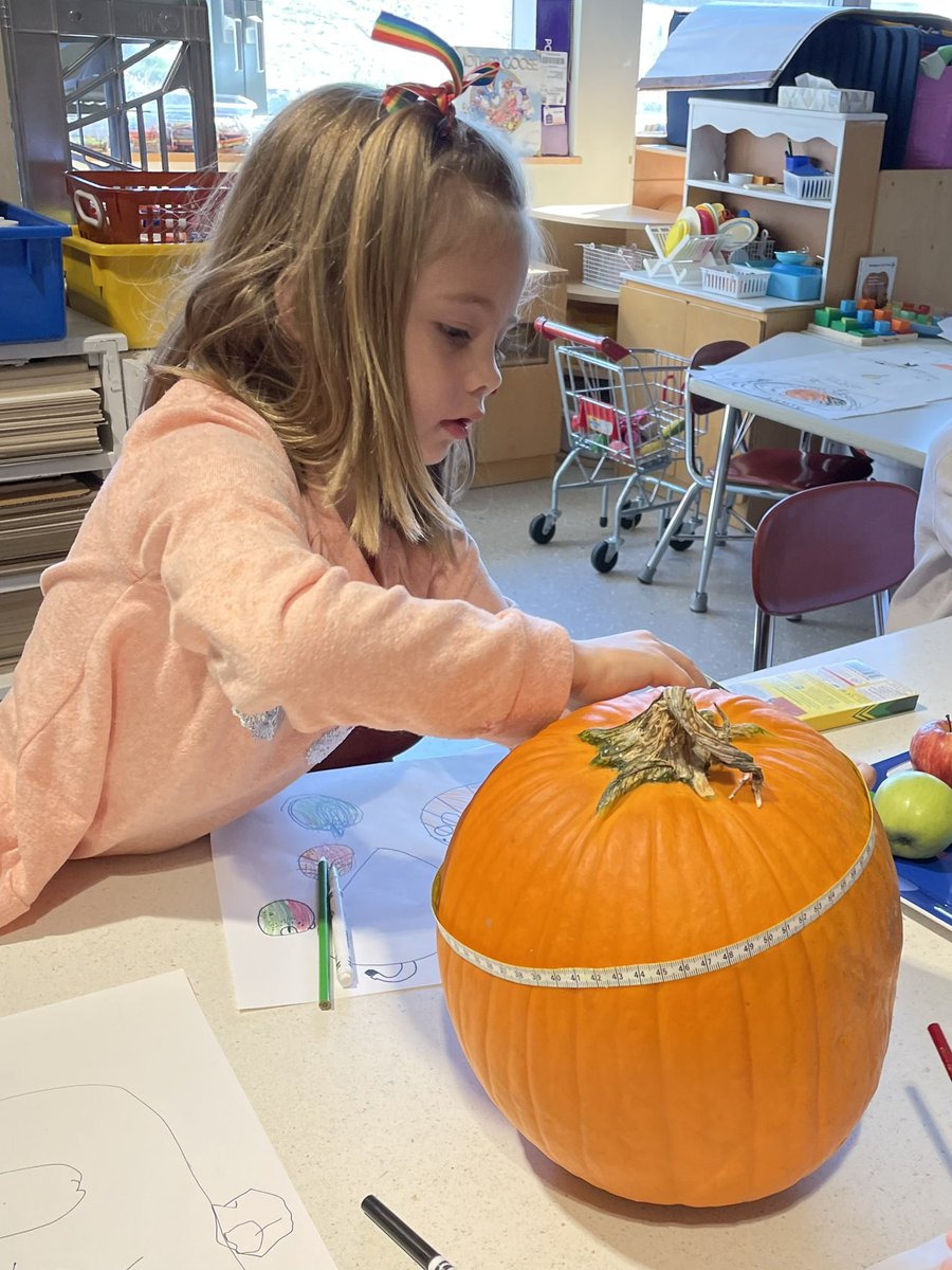 Lindsay Weiner tweet media