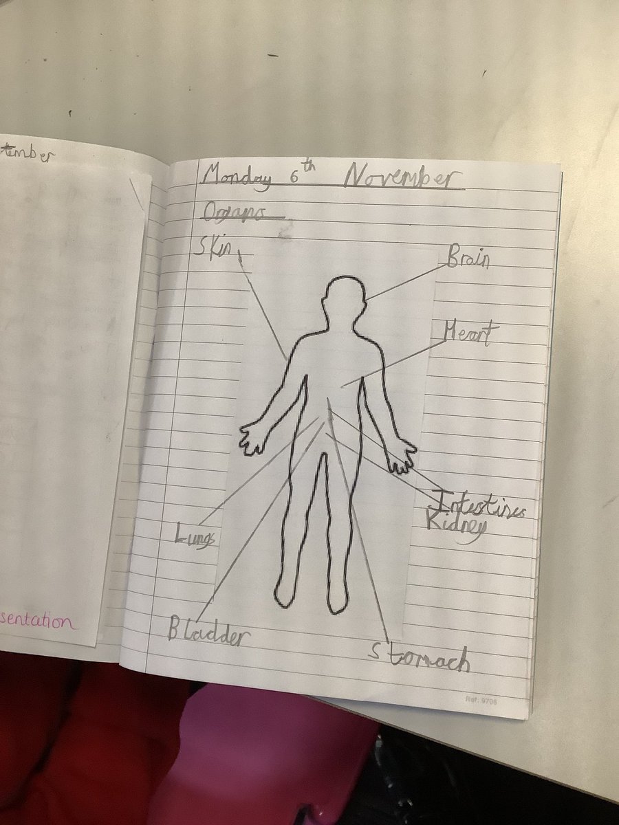 westheathprim's tweet photo. #WHPSClass13 were learning about the body's vital organs this afternoon; first we identified locations and then researched their functions. Ask us about the body organs any time! πͺπΌππ»π #WHPSScience https://t.co/T6aAODiiId