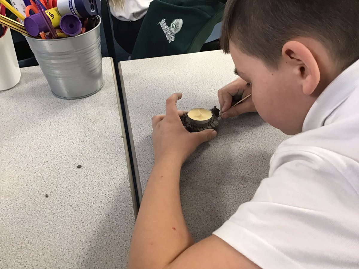 Chestnut_OrchardPA tweet media