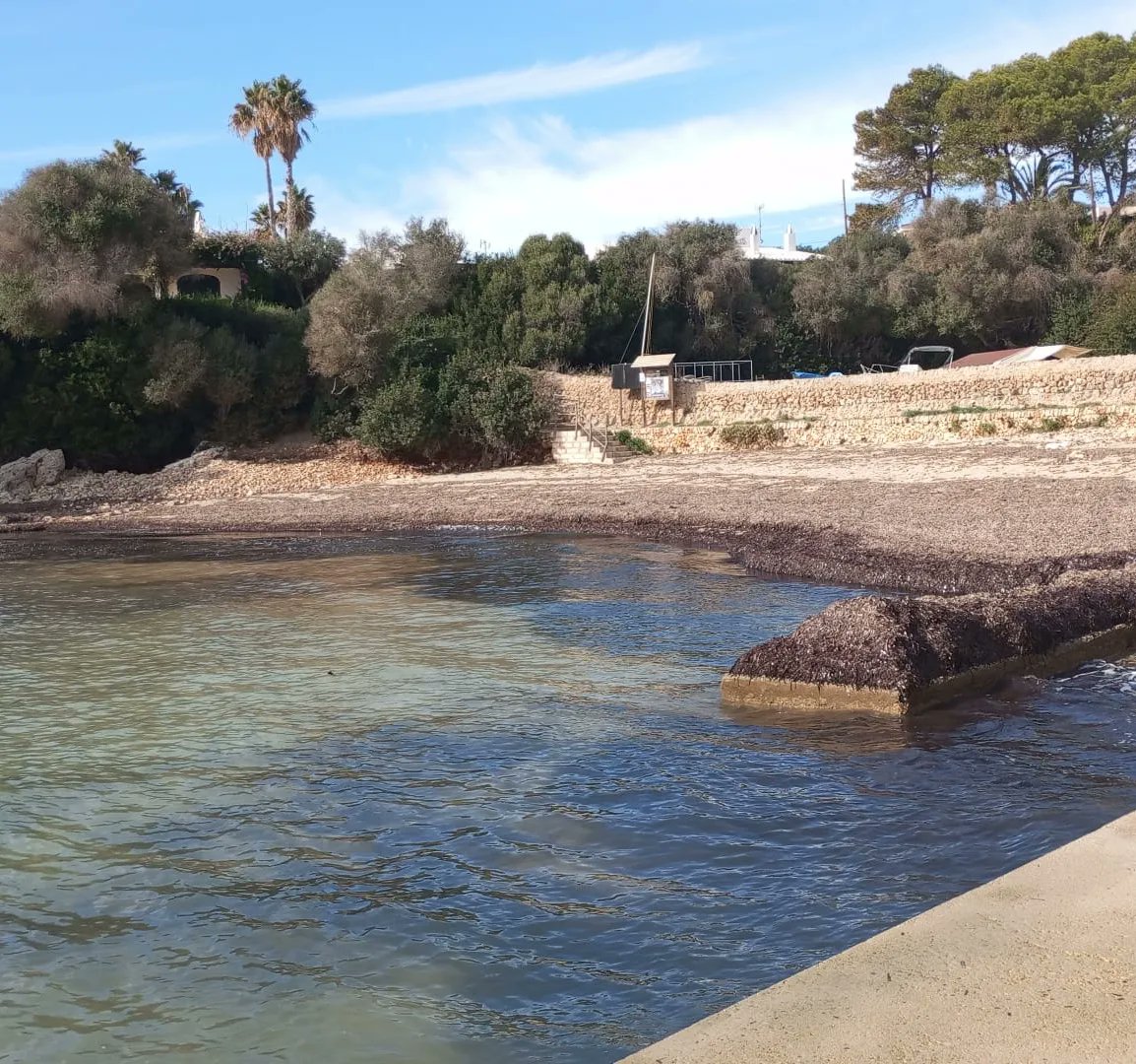 Después del paso de las últimas borrascas 'Ciarán' y 'Domingos' con vientos de ponent y llebeig nos alegra decir que nuestro litoral no ha sufrido daños y que se retoman los trabajos con el cable eléctrico en la playa de Punta Prima.